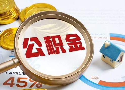 博尔塔拉2025年政策调整对个人影响综合解析‌